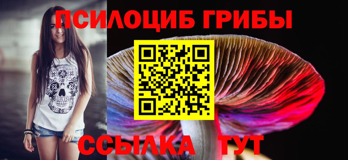Галлюциногенные грибы Magic Shrooms  Вход с VPN  Выборг 